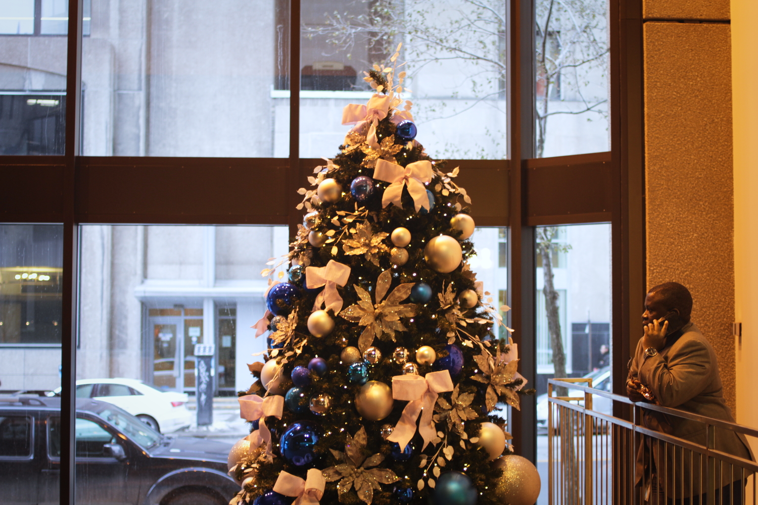 Les sapins de Noël sont de sortie.