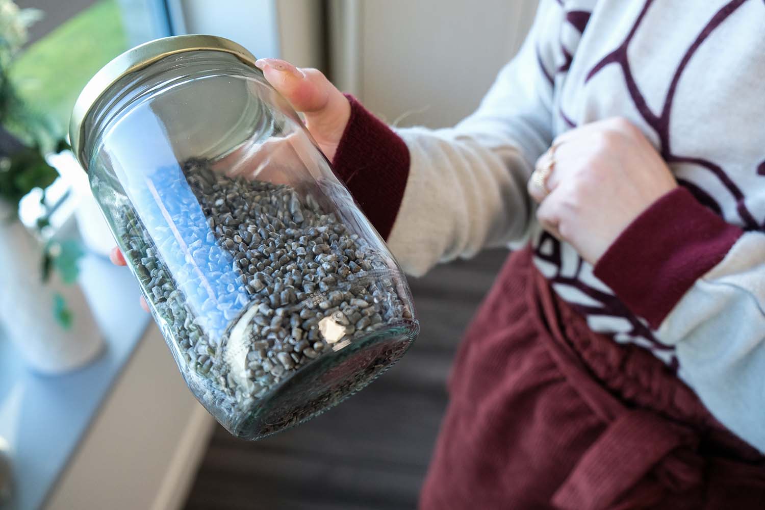 Et voici la fibre de lin une fois transformée avec l’amidon de maïs. C’est à partir de ces petites granules que l’entreprise fabrique les gobelets © Globe Reporters