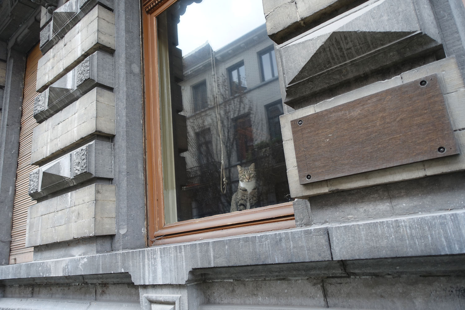 Un voisin observe les allées et venues dans la rue © Globe Reporters