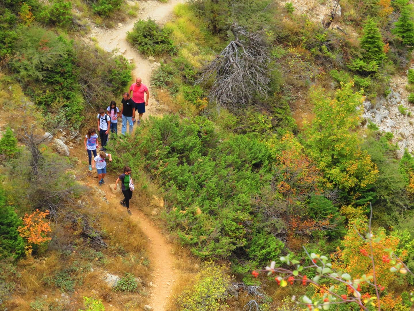 En été, on déchausse les raquettes pour les remplacer par de bonnes chaussures de randonnée et parcourir les 140 ha de la réserve ©Ehden