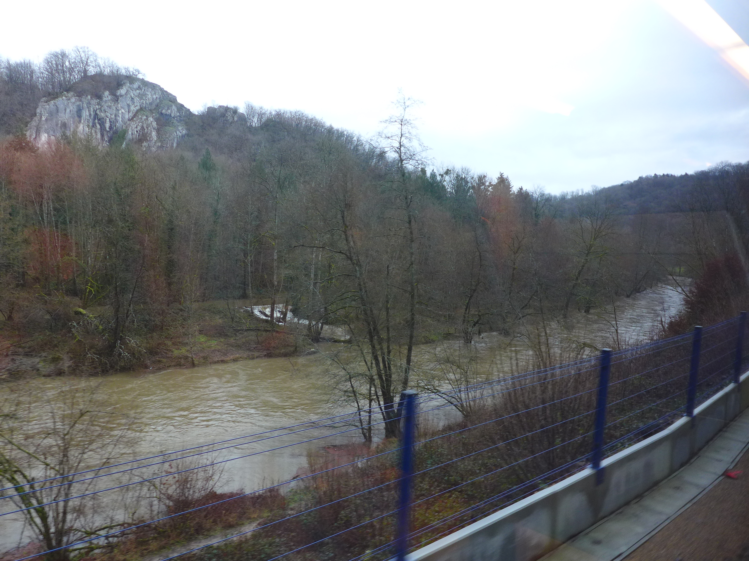 Le train poursuit son parcours. Le paysage devient moins urbain. On peut observer beaucoup plus de bois et forêts © Globe Reporters