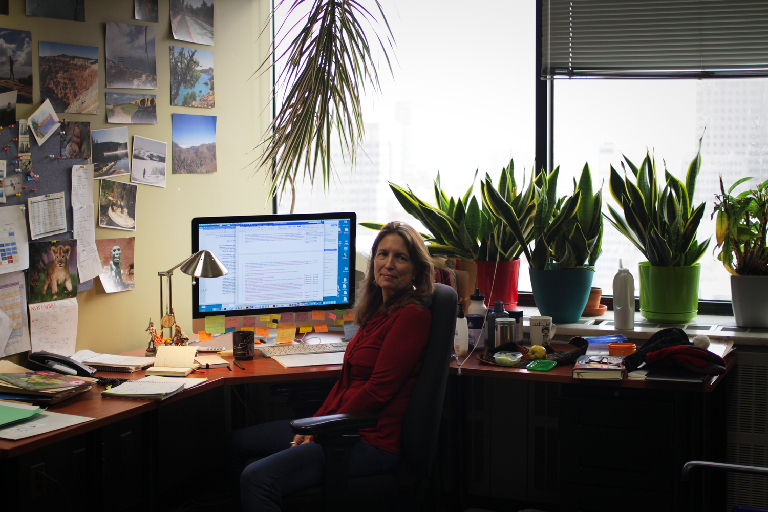 Bureau de Dominique Paquin.