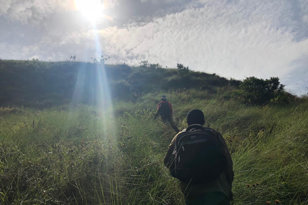 Après 4h00 de marche, nous atteignons la savane d’altitude. 