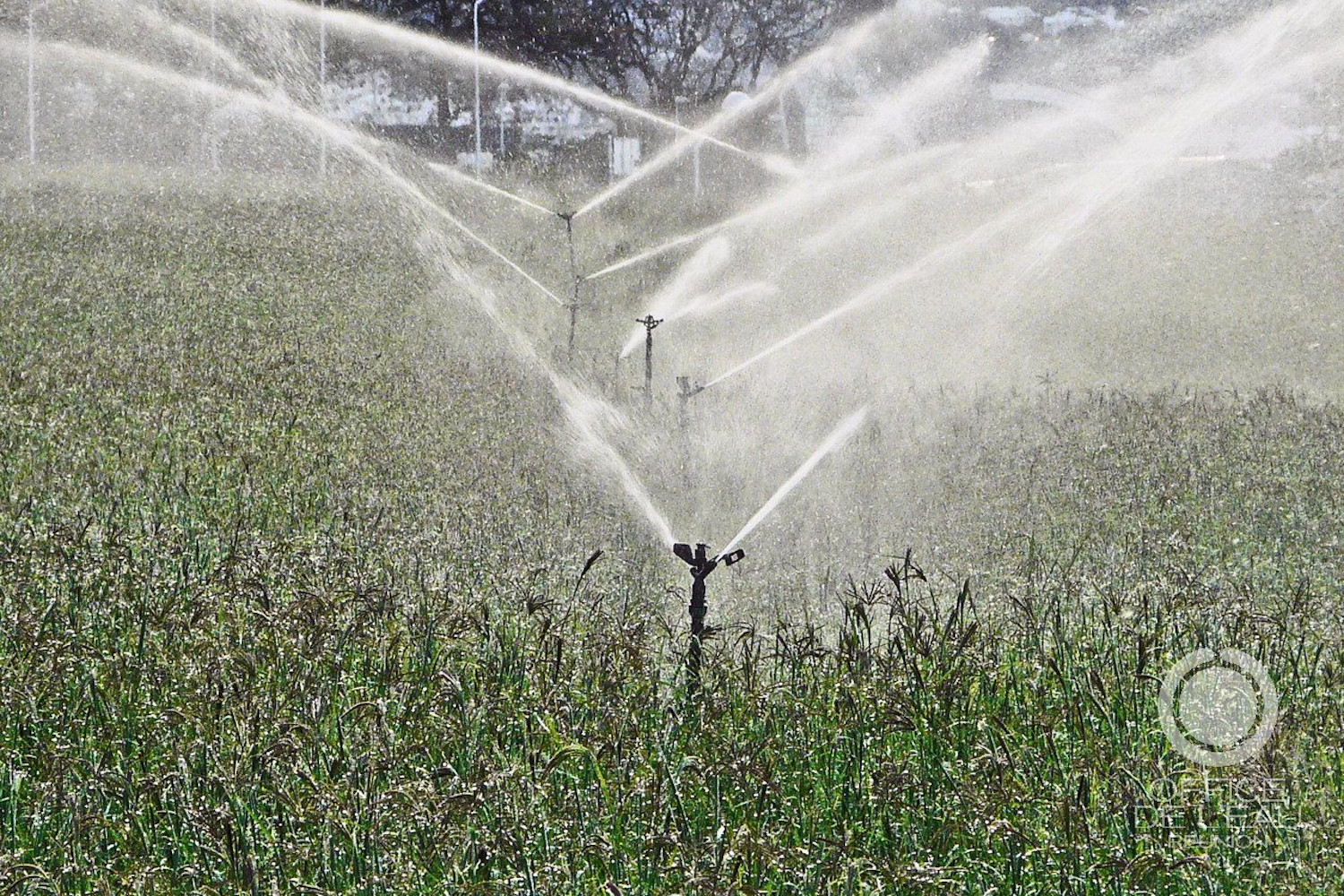 Agriculture, industrie, usages domestiques ou de loisirs. Les activités humaines sont très gourmandes en eau © Office de l’eau