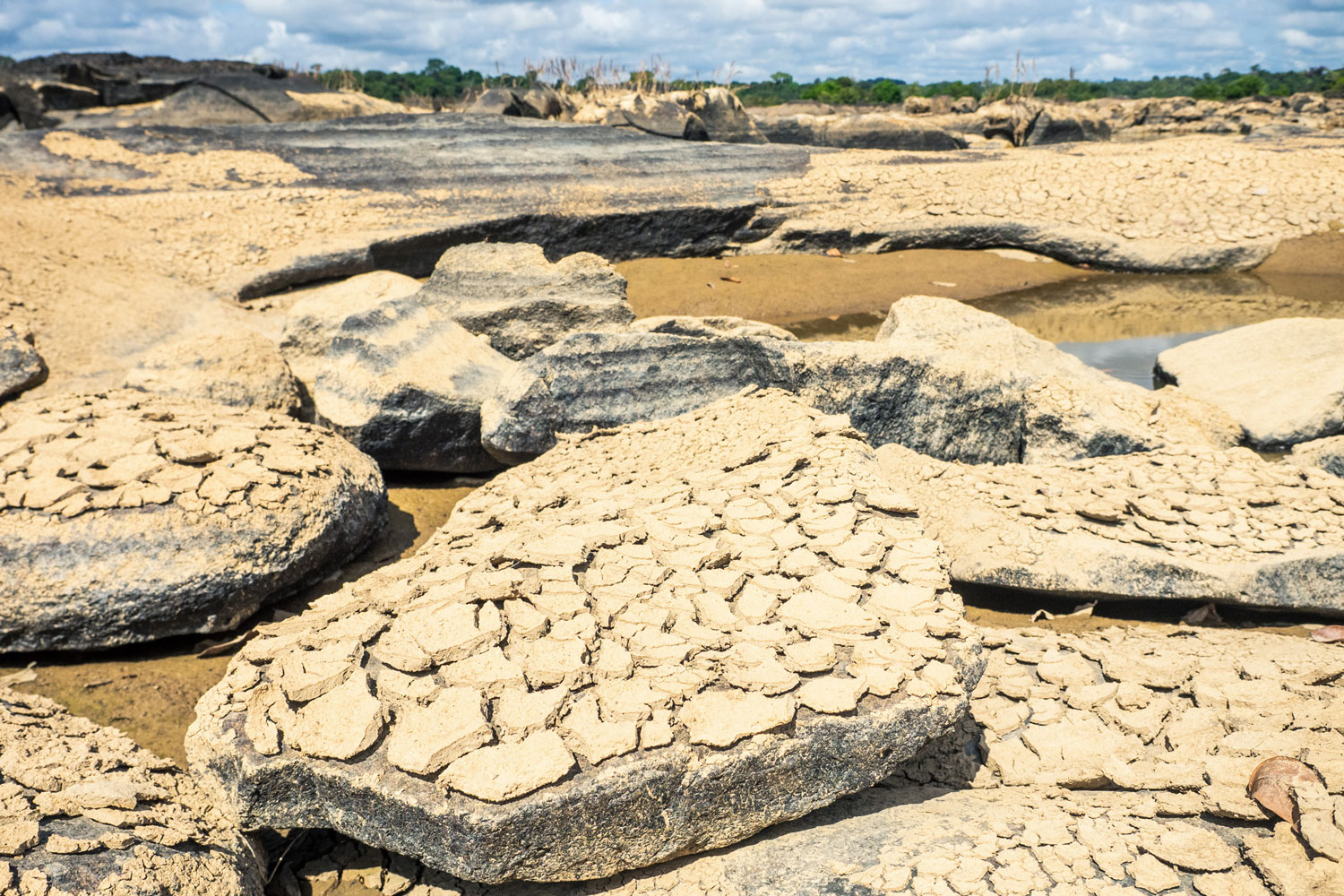 Conséquences sur de l’environnement – crédit WWF