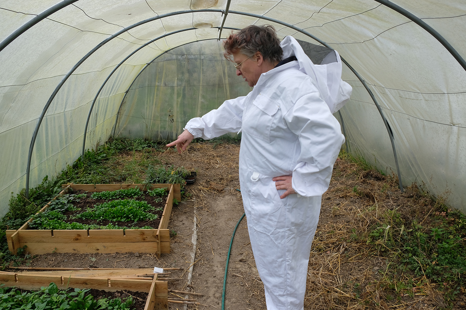 Dans la seconde, ils y plantent des légumes, notamment des tomates.