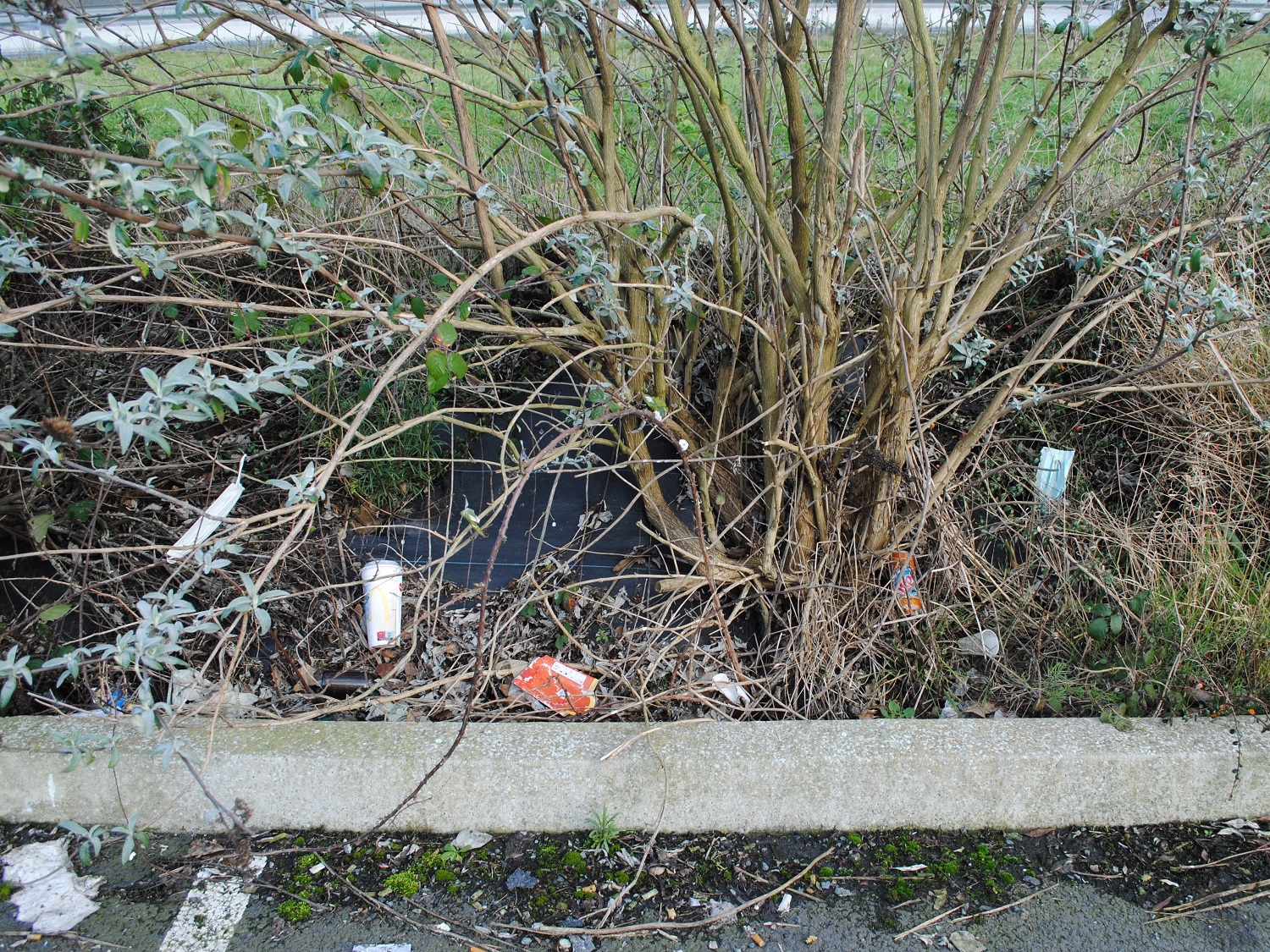 À quelques mètres de la benne qui collecte les déchets à recycler gisent des emballages de canettes et d’un autre fast-food voisin... Sans doute jetés par la fenêtre des voitures, depuis la grande route toute proche. Il y a du progrès à faire ! © Globe Reporters