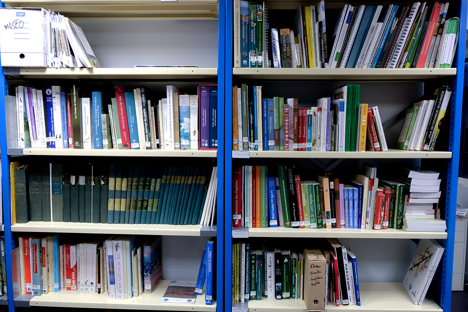 Une bibliothèque bien fournie habille le mur, en face du bureau de Robin © Globe Reporters