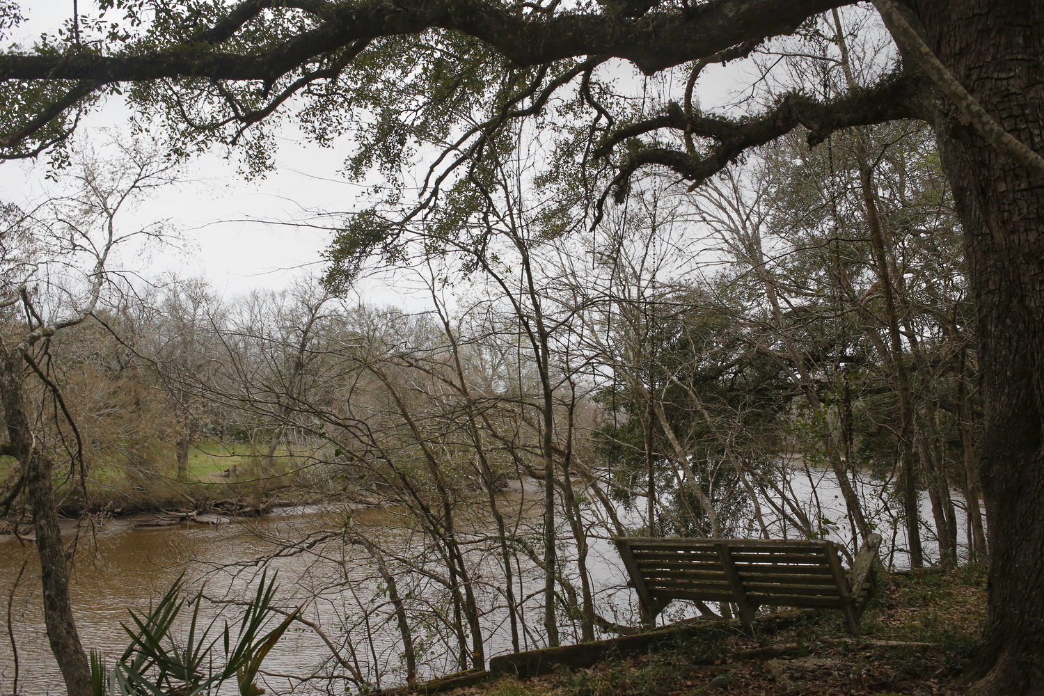 Depuis le terrain de Tommy, on peut voir le bayou Vermilion en contrebas © Globe Reporters