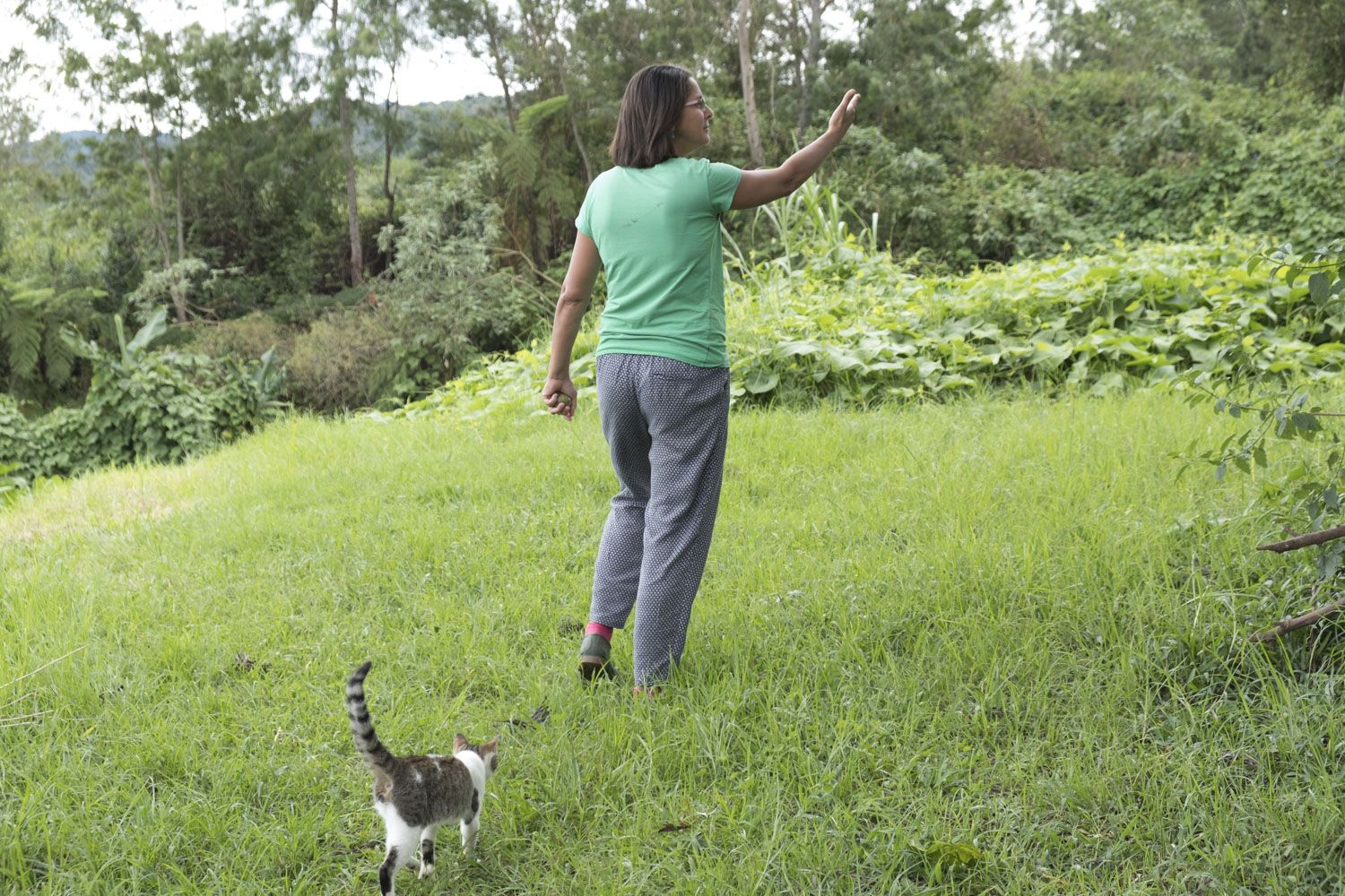 La promenade continue en compagnie du chat de la maison.