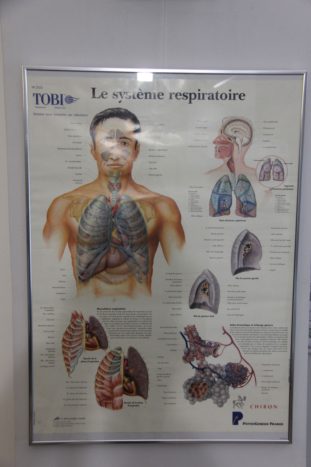Le système respiratoire commence dès le nez et la bouche © Globe Reporters