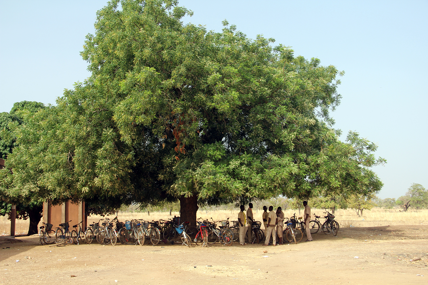 La récréation se passe sous les ombres des arbres.