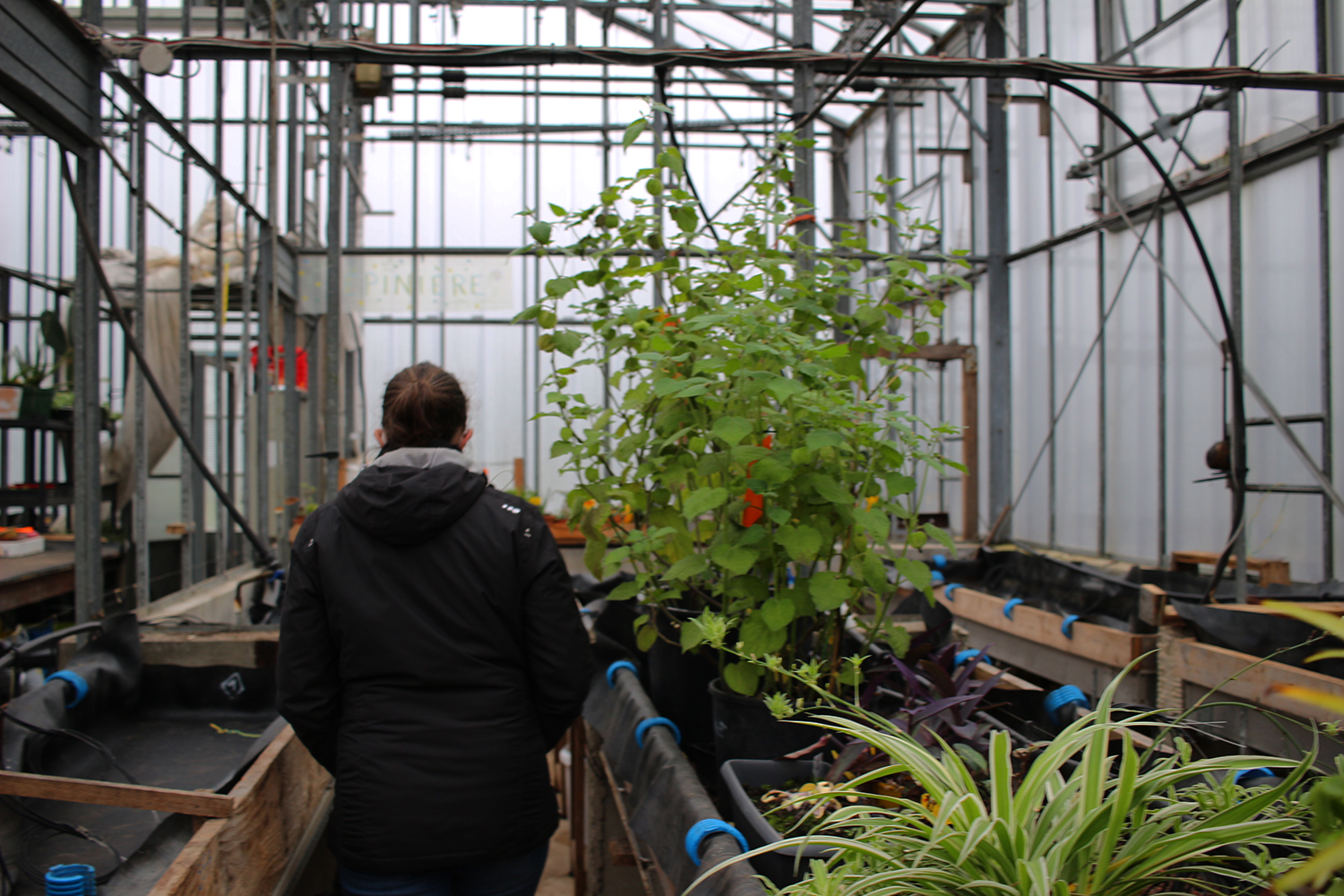 Muriel nous fait faire le tour pour nous montrer les différentes installations. © Globe Reporters