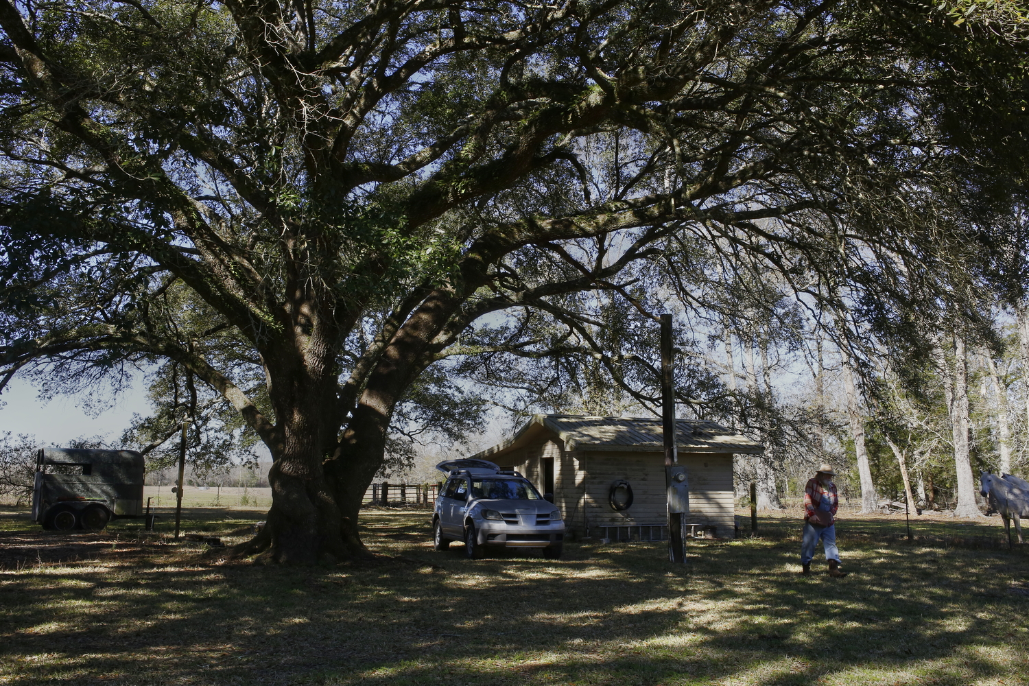 Le terrain de Bobby près de bayou Bourbeux, où il a des chevaux © Globe Reporters