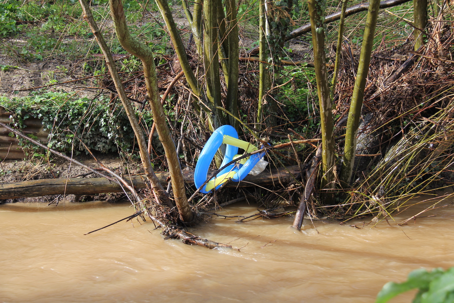 Dans les arbres des restes des objets emportés par la rivière en crue © Globe Reporters