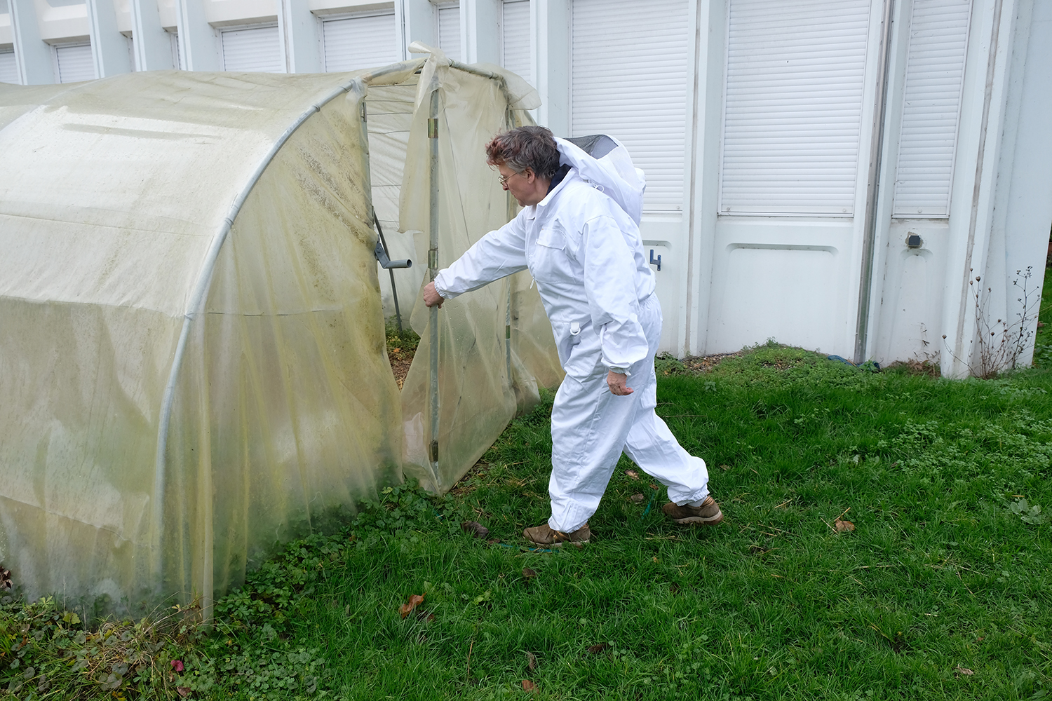 Les fruits et légumes récoltés sont distribués aux élèves de l’atelier jardin.