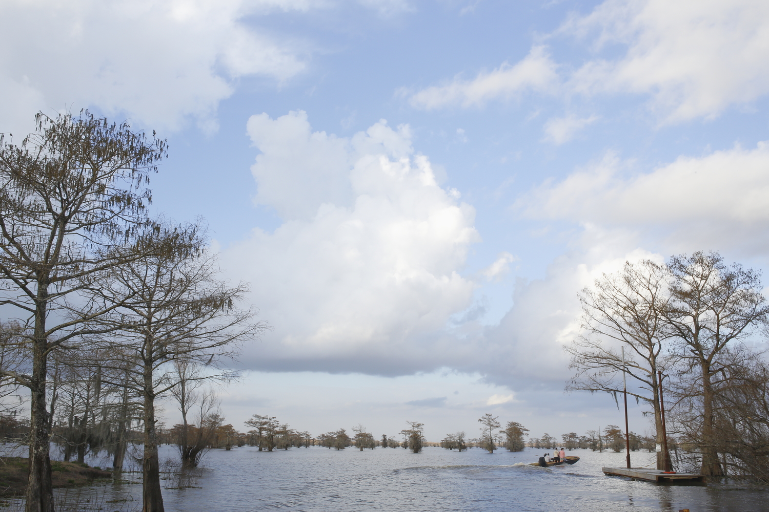 Le bassin de l’Atchafalaya pendant la journée © Globe Reporters