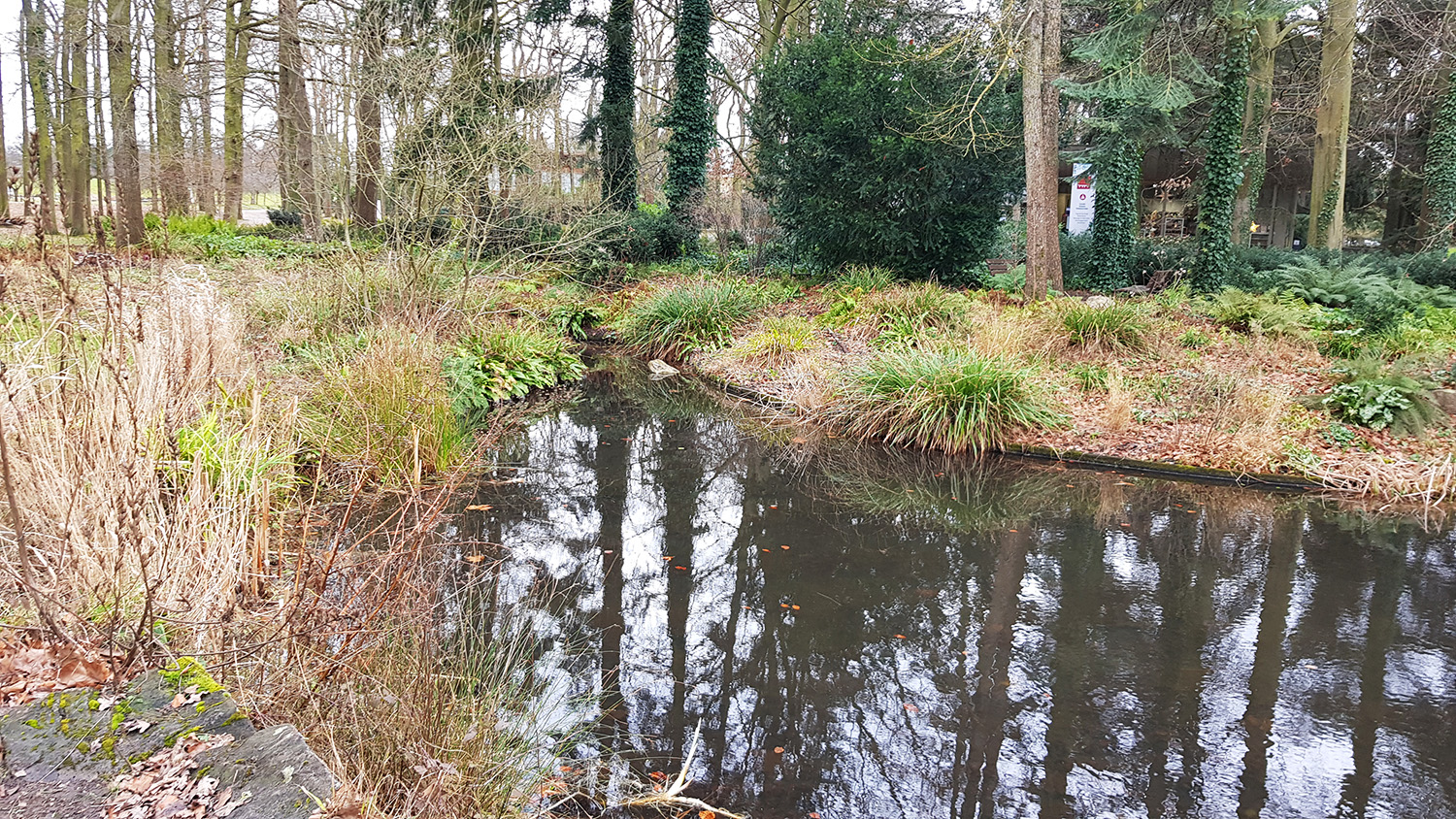 La biodiversité est assez diversifiée, malgré les centaines de milliers de visiteurs qui arpentent le bois chaque année © Globe Reporters