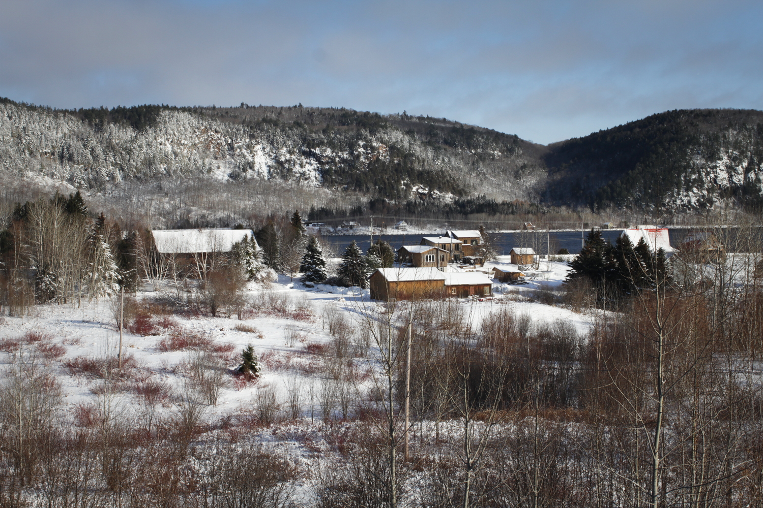 Vue sur une partie du Parc.