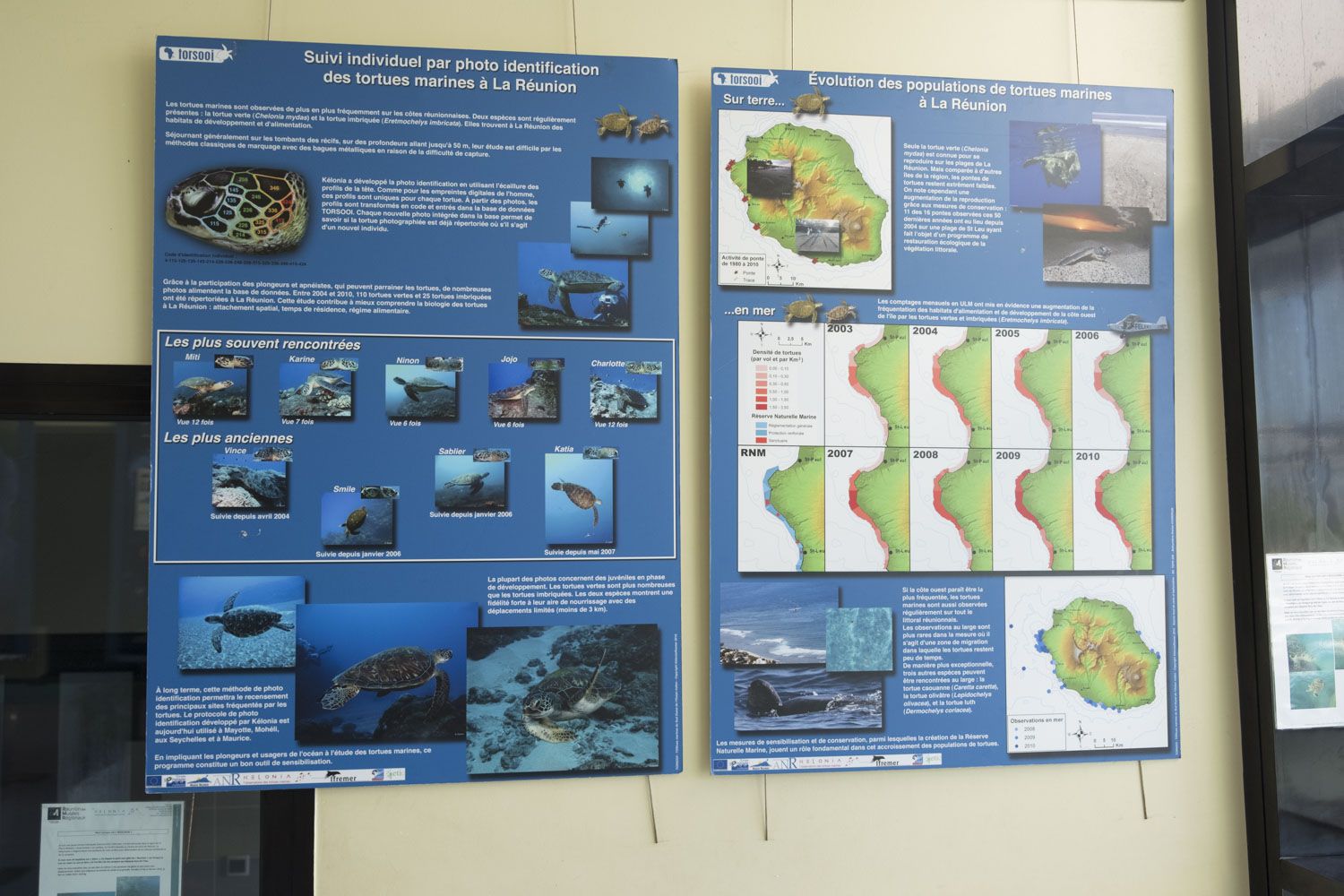 Le centre est aussi un pôle scientifique. Depuis la création du centre, la population de tortues marines au large de La Réunion a connu une augmentation significative.