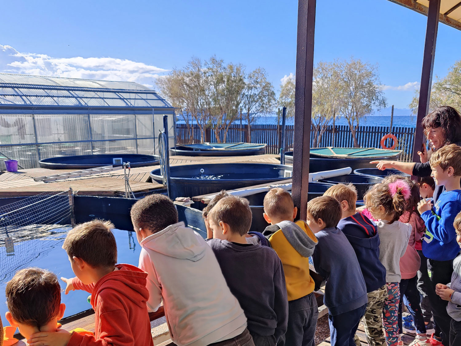 Des élèves observent des tortues lors d’une visite scolaire © Archelon