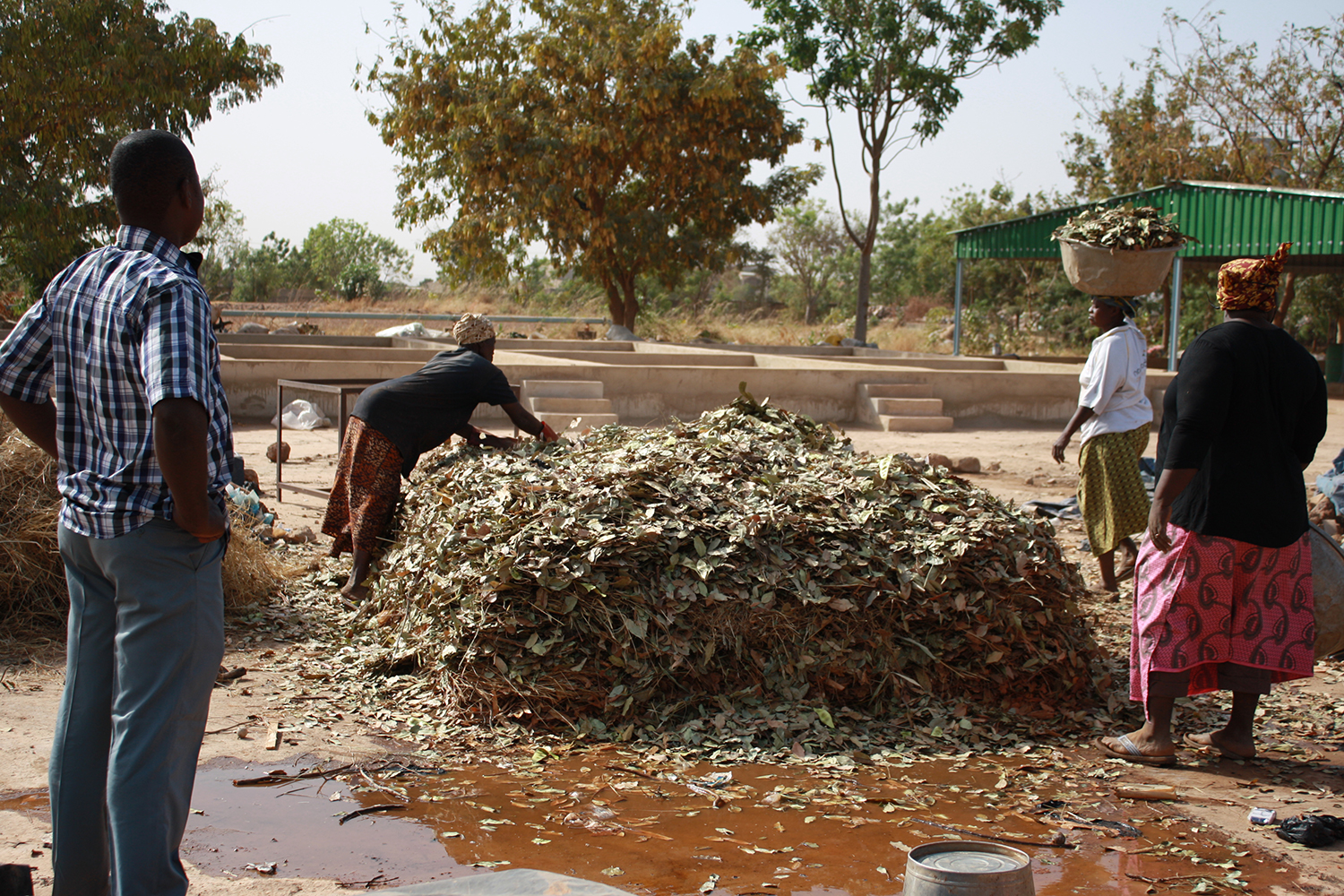 Ces déchets organiques vont produire du compost qui sera utilisé comme engrais naturel dans les champs. 