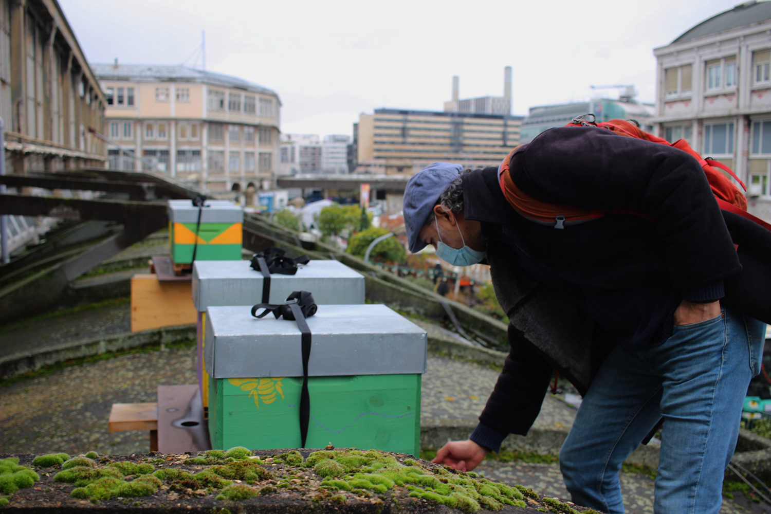 Avant de repartir, Volkan vérifie que tout se passe au mieux pour les colonies d’abeilles © Globe Reporters