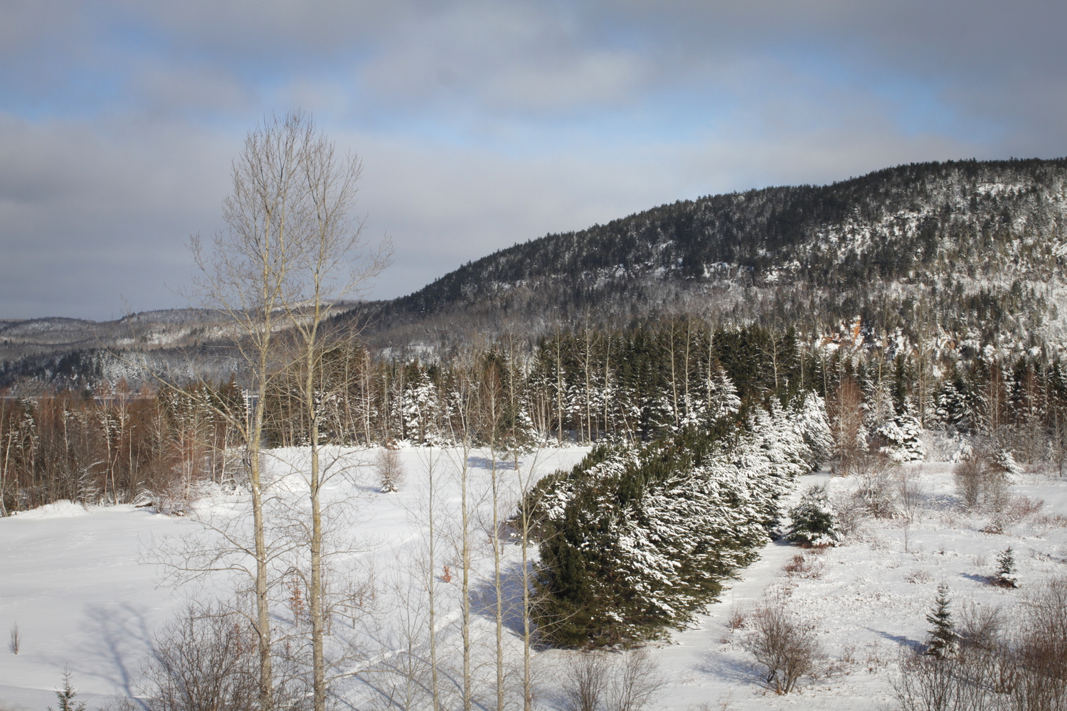 Une autre vue sur le Parc.