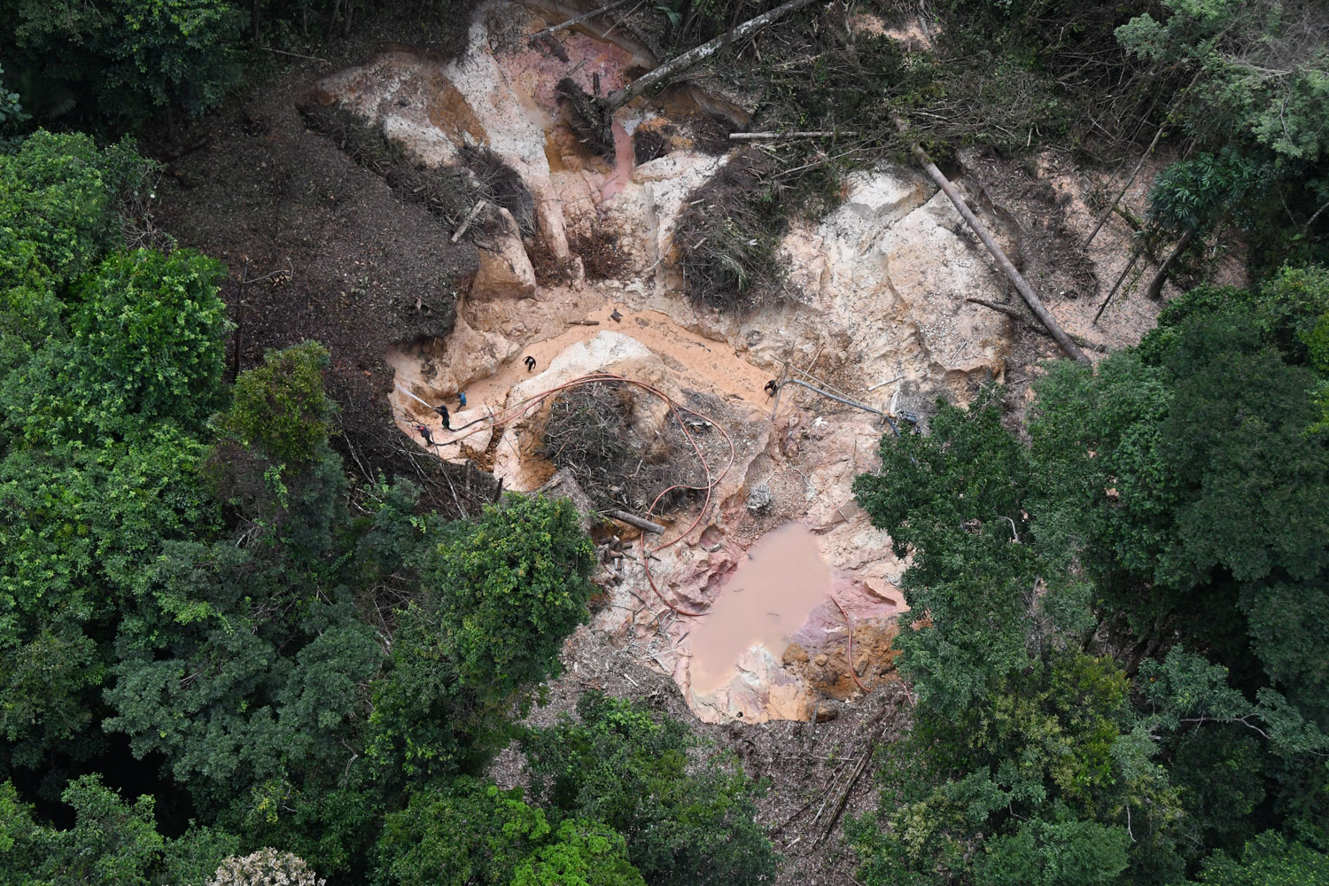 Un campement d’orpailleurs dans la forêt amazonienne – crédit Parc amazonien