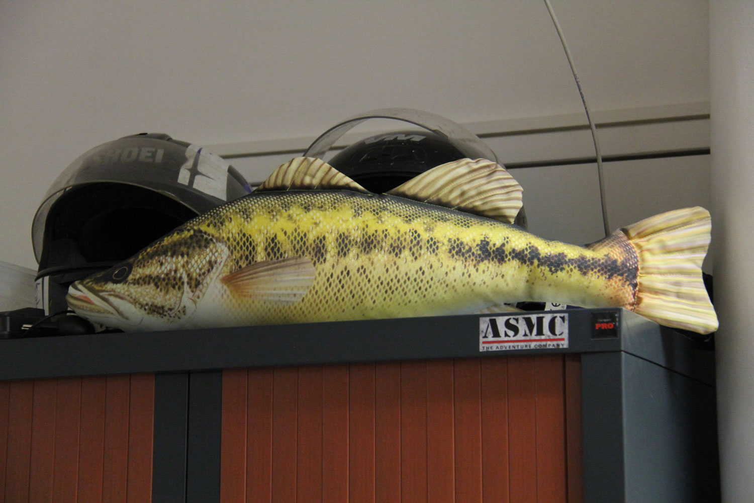 Une peluche poisson qui trône sur une armoire du bureau de Jacques LEMOINE © Globe Reporters