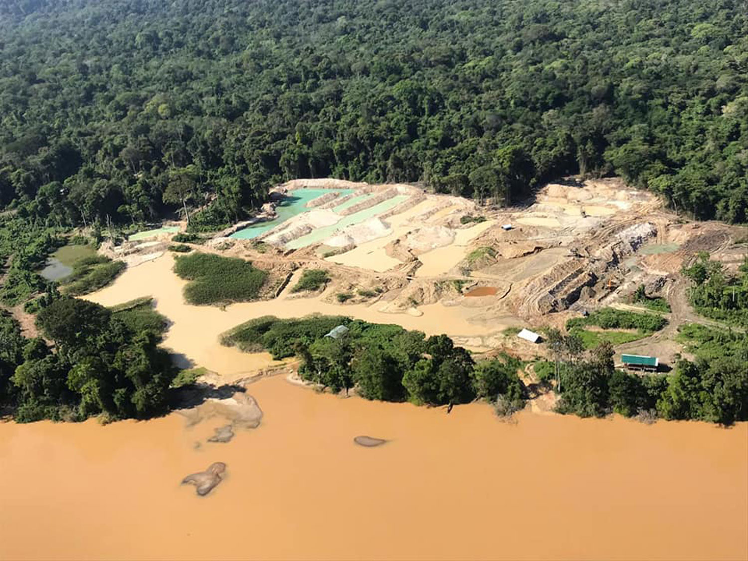 Conséquences de l’orpaillage sur l’environnement – crédit WWF