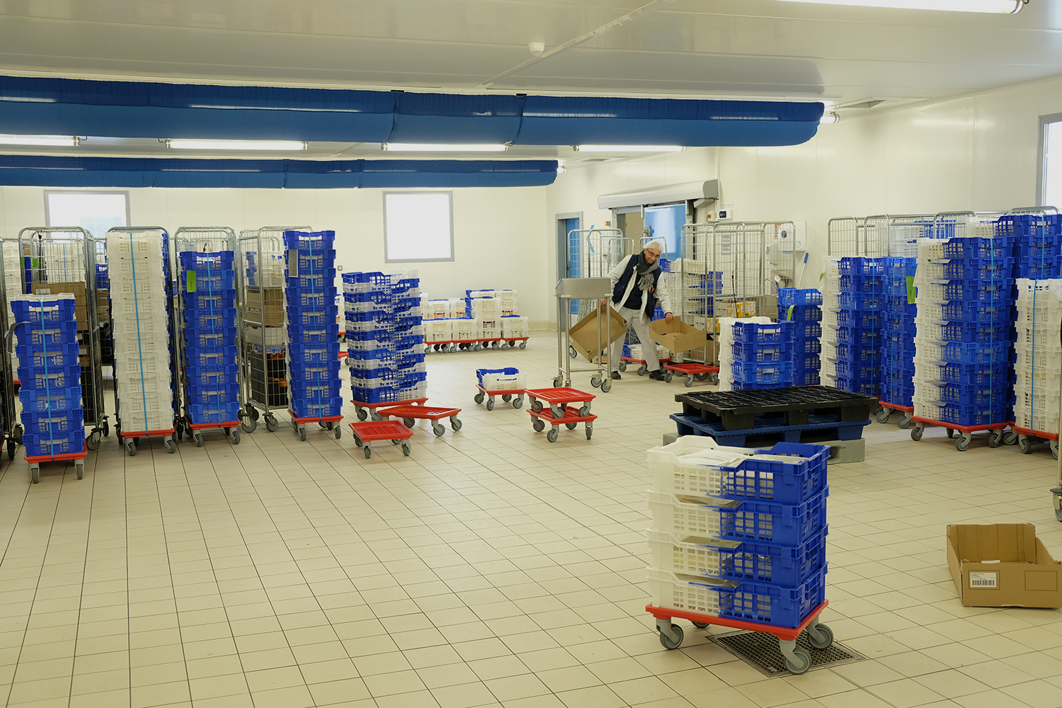 Avant la distribution, les repas sont répartis sur des palettes dans ce grand grido, afin d’être distribués aux différentes écoles de la ville.