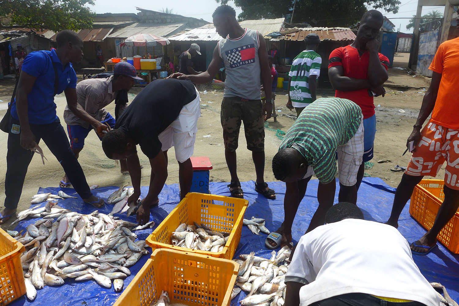 Les pêcheurs du port de Koukoudé au retour de la pêche.