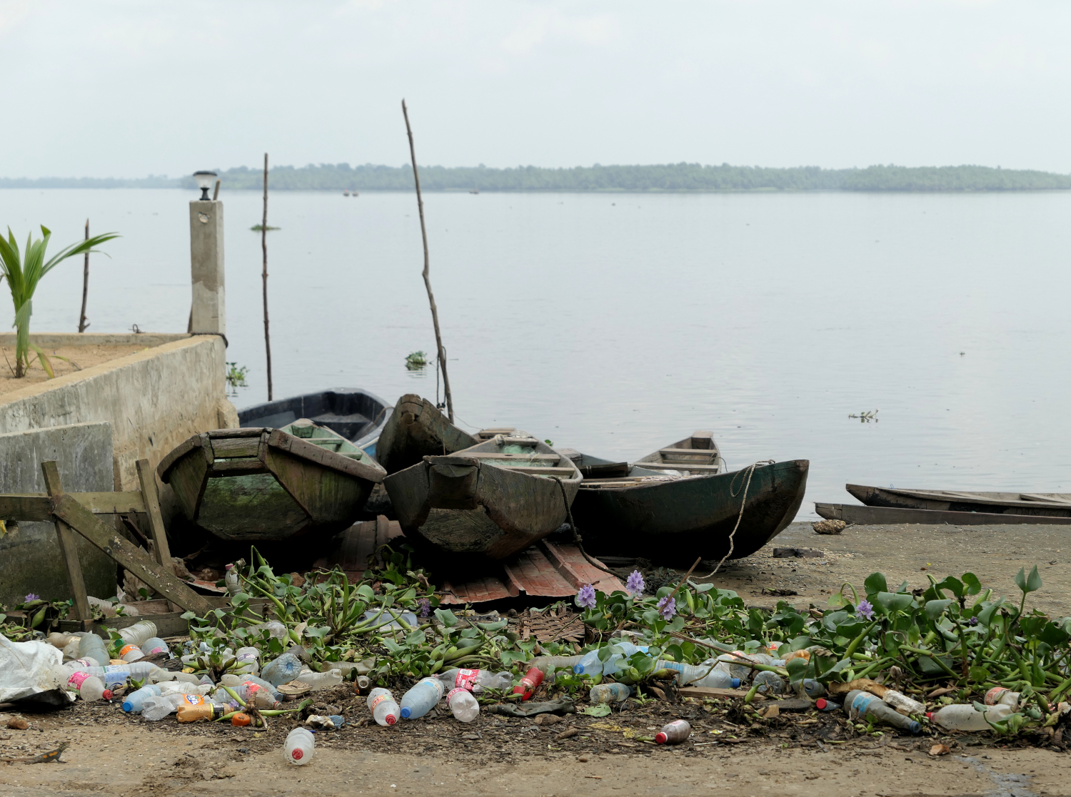 La pollution par le plastique © Globe Reporters