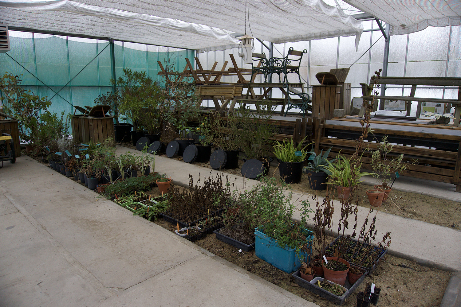 L’hiver, certaines plantes sont installées dans la serre pour faire face au froid. © Globe Reporters