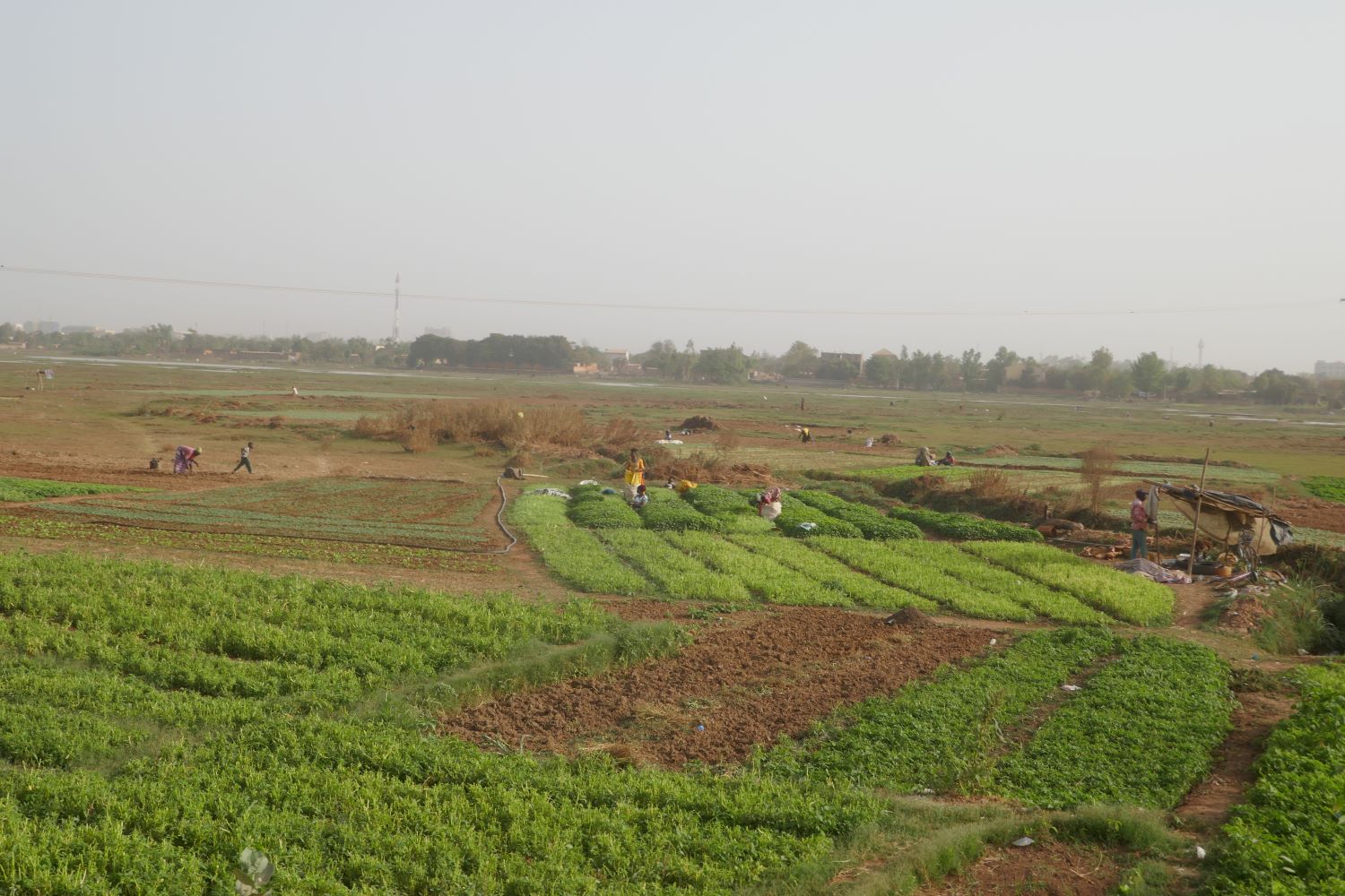 Vue des jardins qui longent l’eau du barrage nº 3 à Ouagadougou © Globe Reporters