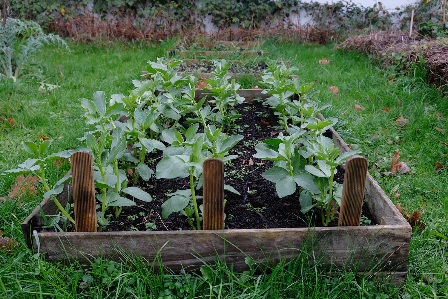 Le projet a été soutenu par Aquaterra, la maison de l’environnement située à Hénin-Beaumont, qui a aidé le collège à planter en permaculture.