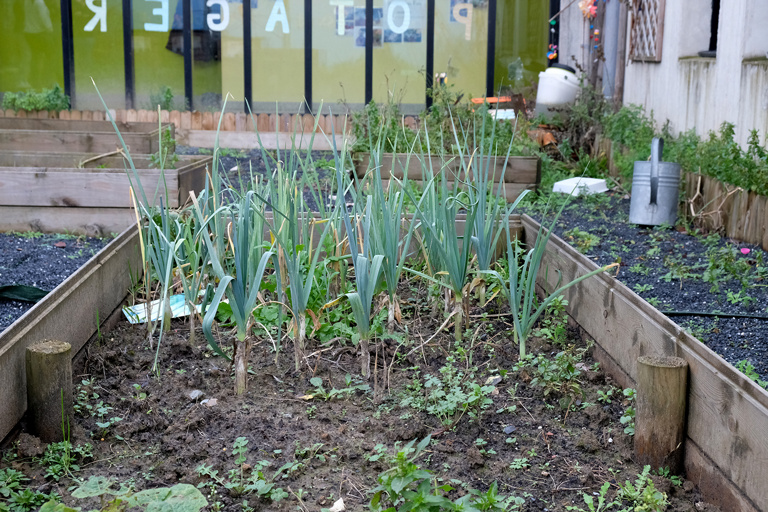 Dans le patio central, la directrice a installé un potager.