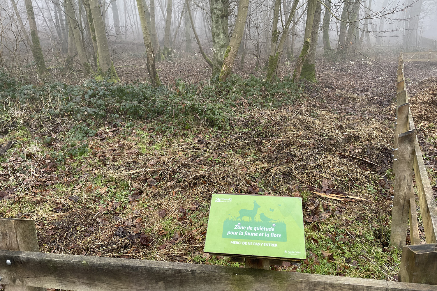 Pour protéger la faune et la flore, des zones de quiétude ont été mises en place au bois de Maroeuil. © Globe Reporters
