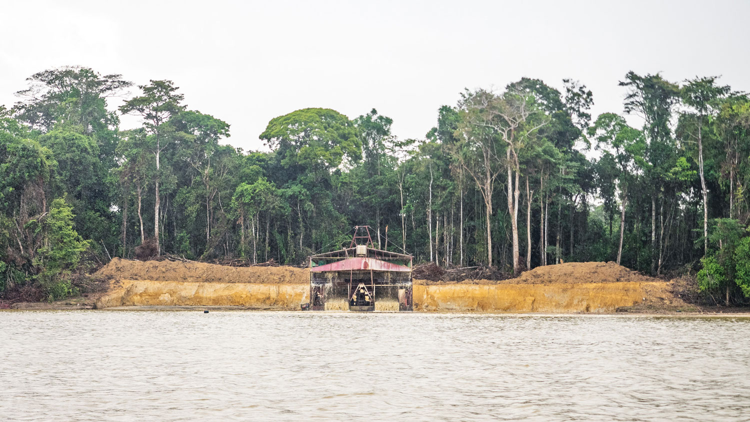 Dévastation de l’environnement – crédit WWF