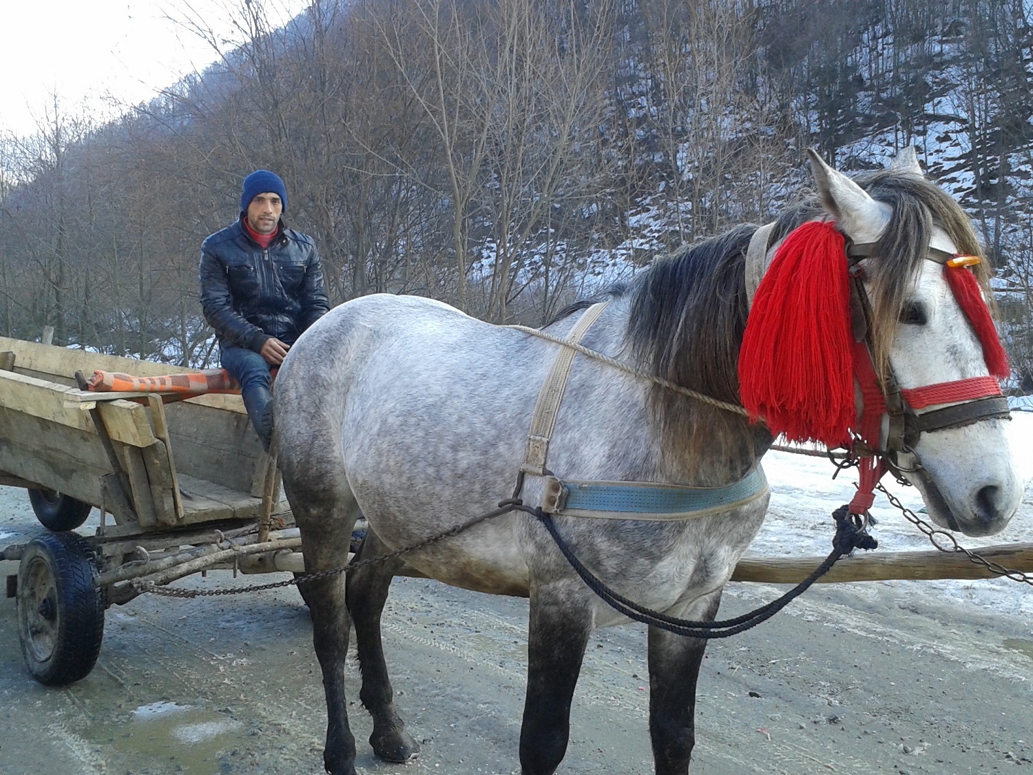 La charrette sur laquelle j’ai embarqué pour quelques centaines de mètres, dans le Maramures.