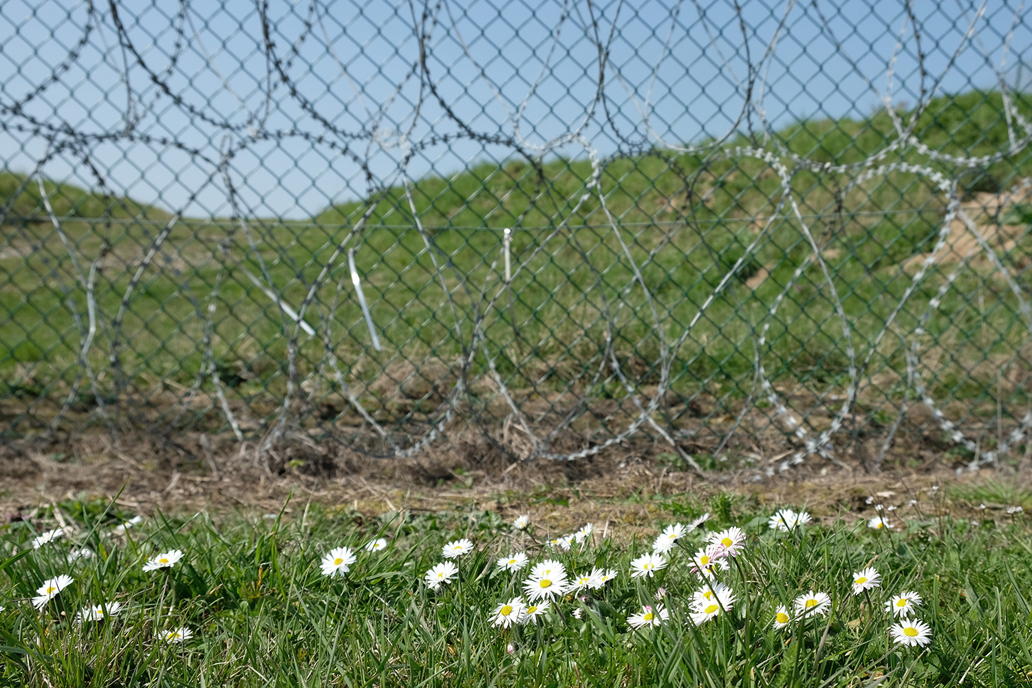 Le printemps s’arrête aussi devant les barbelés&nbsp;?