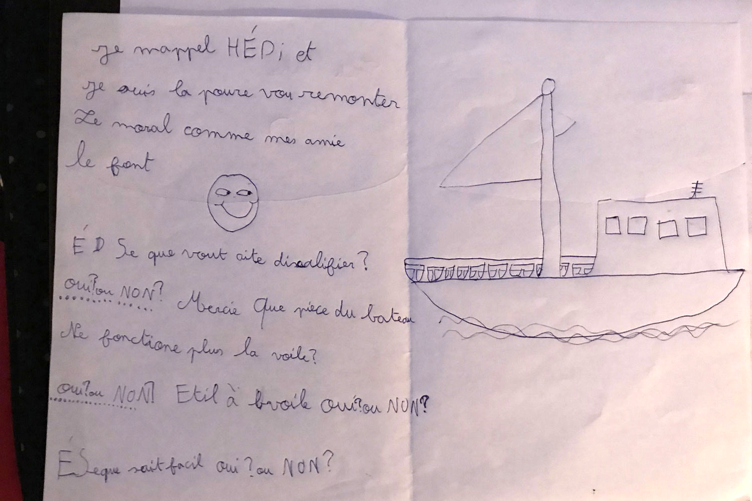 Hédi profite de l’envoi de son dessin pour poser quelques questions supplémentaires © Copie d’écran