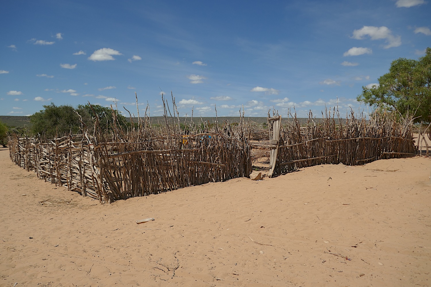 La petite plantation maraîchère de Matanguy est clôturée pour la protéger des animaux © Globe Reporters