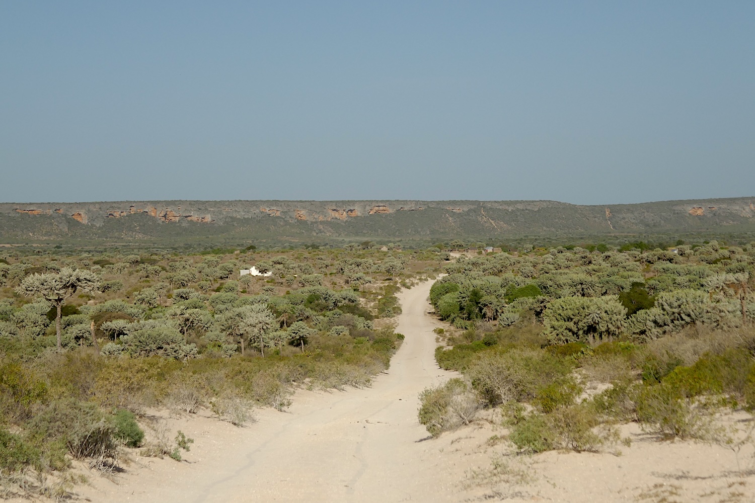 La route du littoral longe la côte depuis Anakao et mène à Itampolo et d’autres villages © Globe Reporters