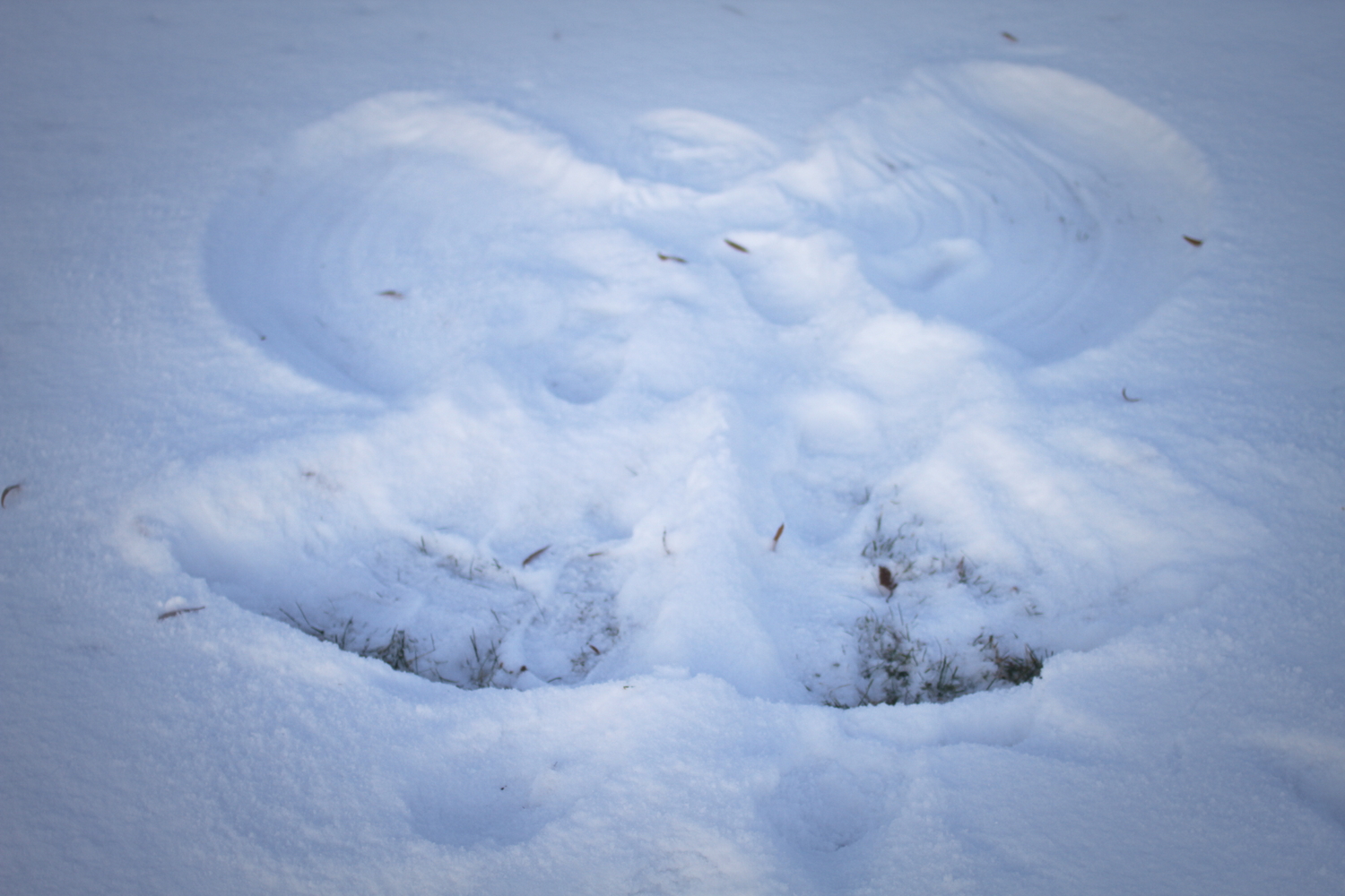 Un ange dans la neige.