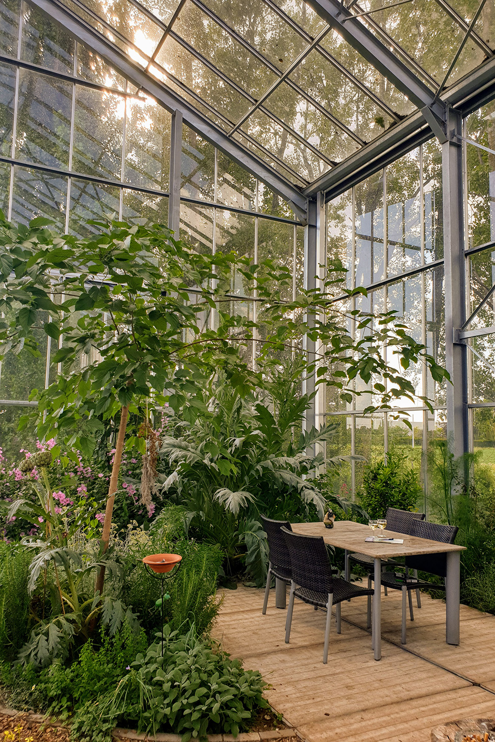 Aujourd’hui, le jardin est luxuriant, et la température de la terrasse descend rarement en dessous de 12 degrés, même en plein hiver ! © Kaseco