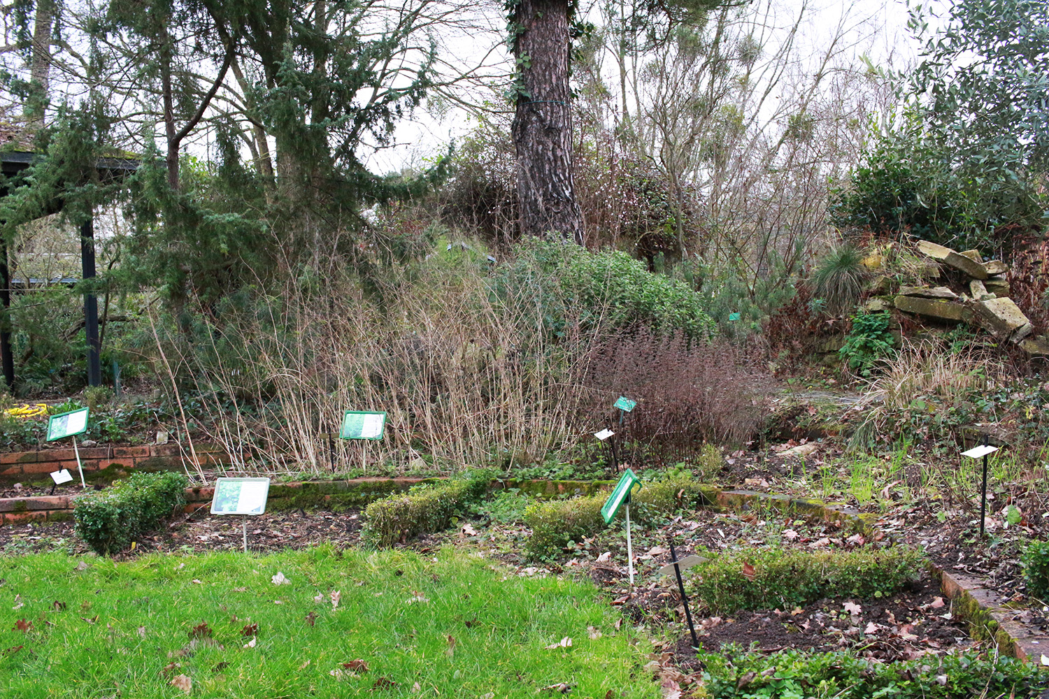 Devant, on y trouve un jardin de plantes aromatiques © Globe Reporters