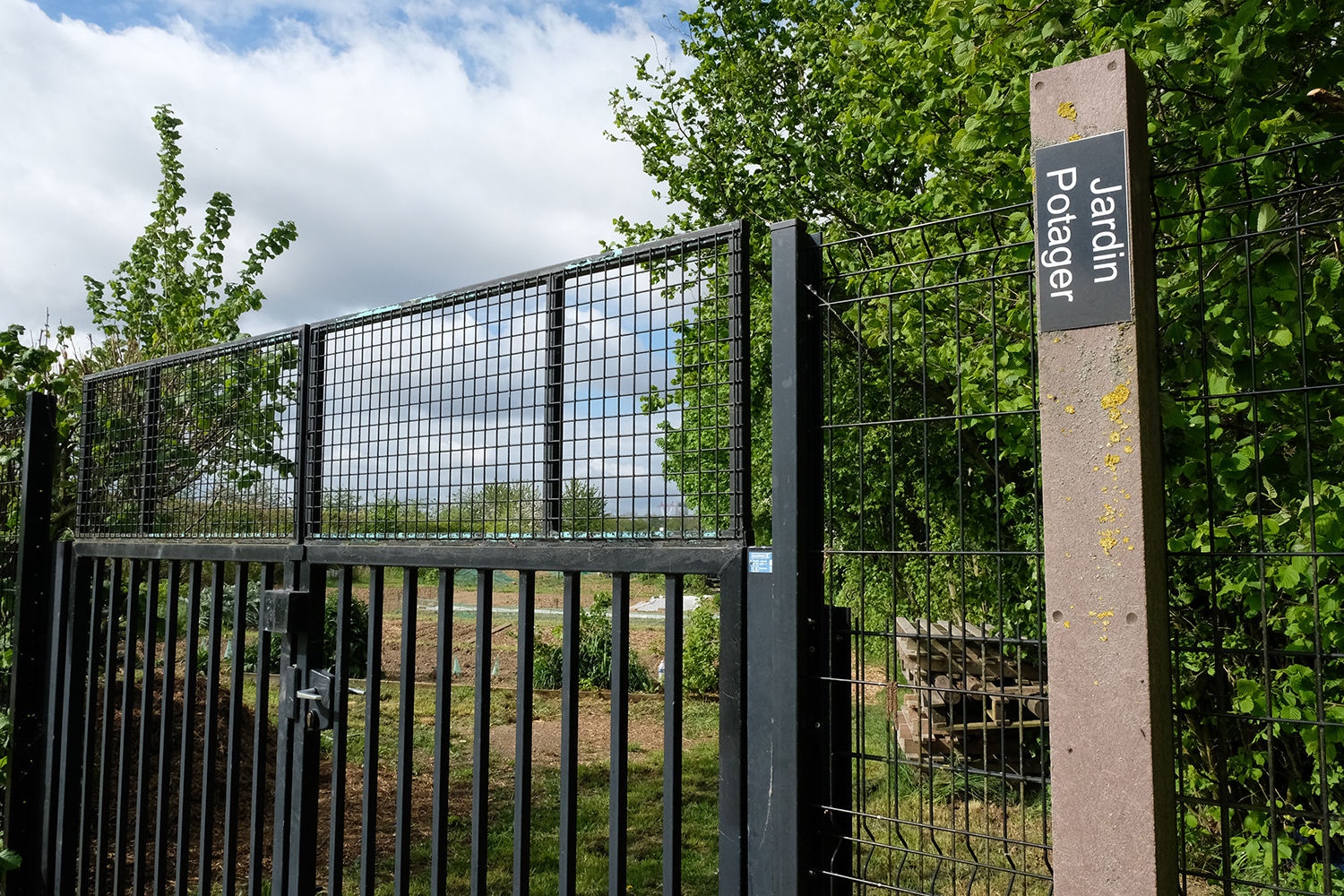 Ici, à l’entrée de la ceinture verte chemin des croisettes, un jardin potager.