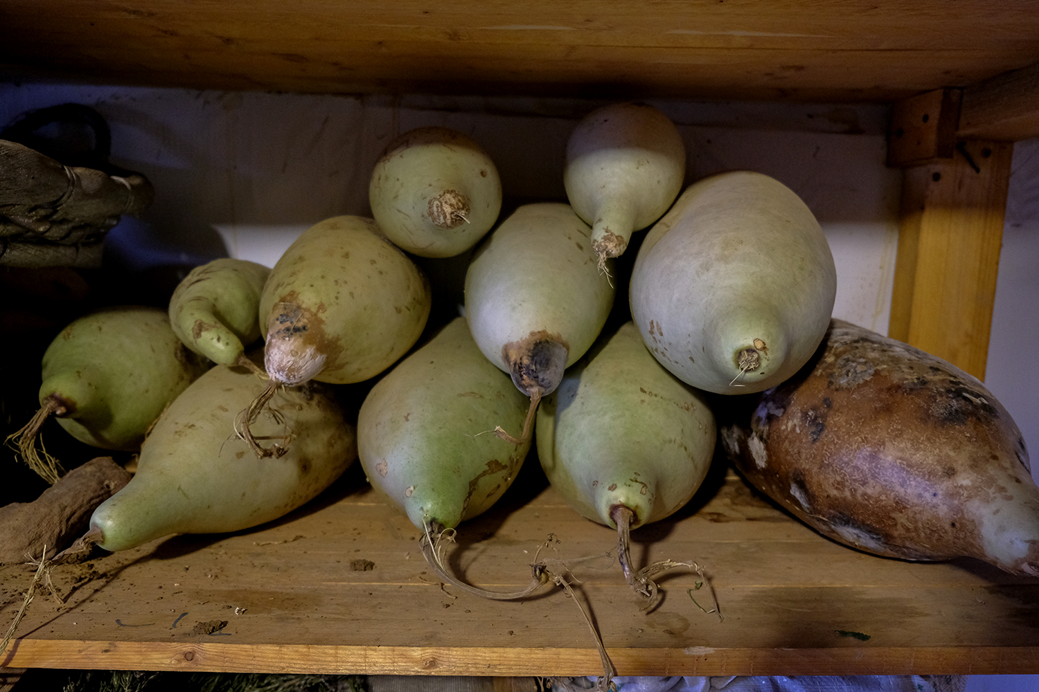 En traversant la salle, Sidonie remarque ces étranges  légumes. « Une sorte de courge ancienne, endémique, appelée gourde », précise Serge © Globe Reporters